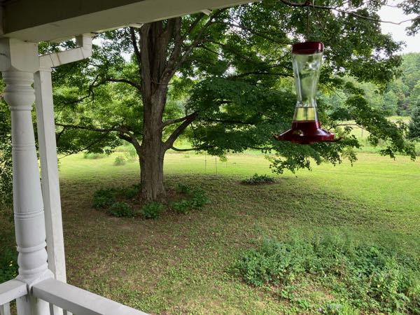Back Porch