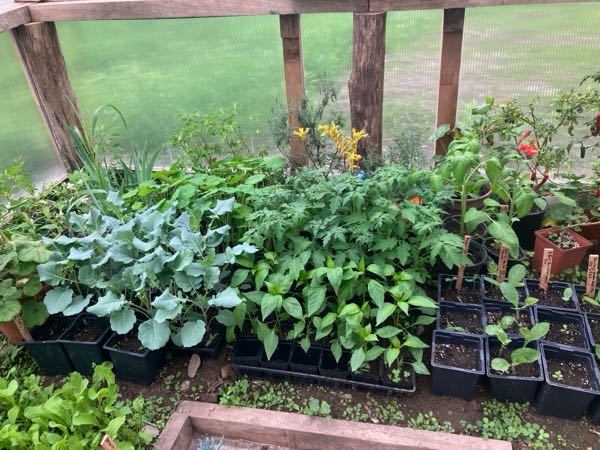 Orchard & Greenhouse