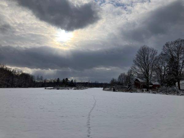 Hayfield & Walking Paths — Winter