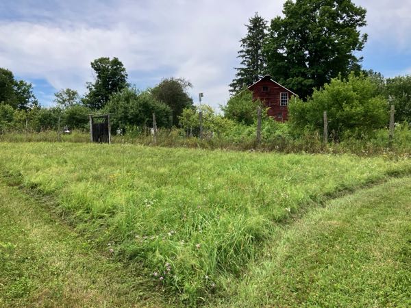 Hayfield & Walking Paths