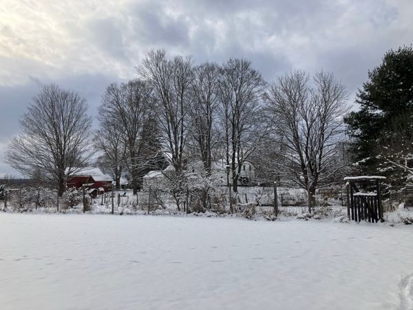 Perimeter Fence & Gates — Winter