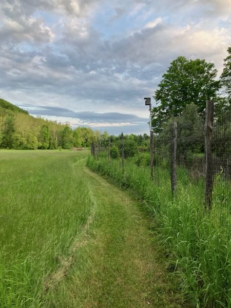 Perimeter Fence & Gates