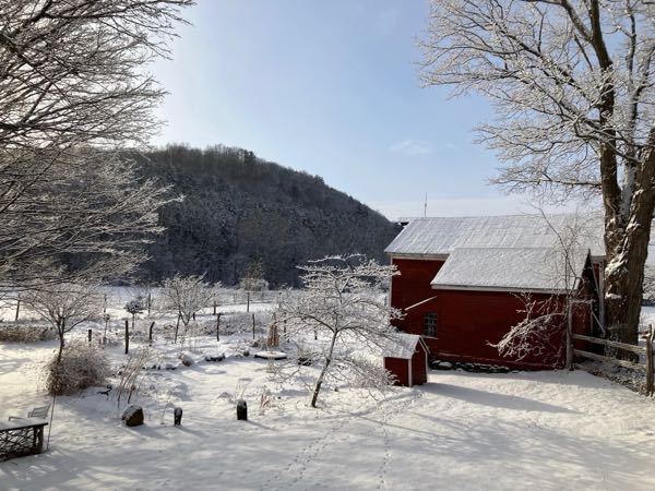 Stone Patio — Winter