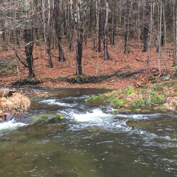 Swimming Hole — Autumn