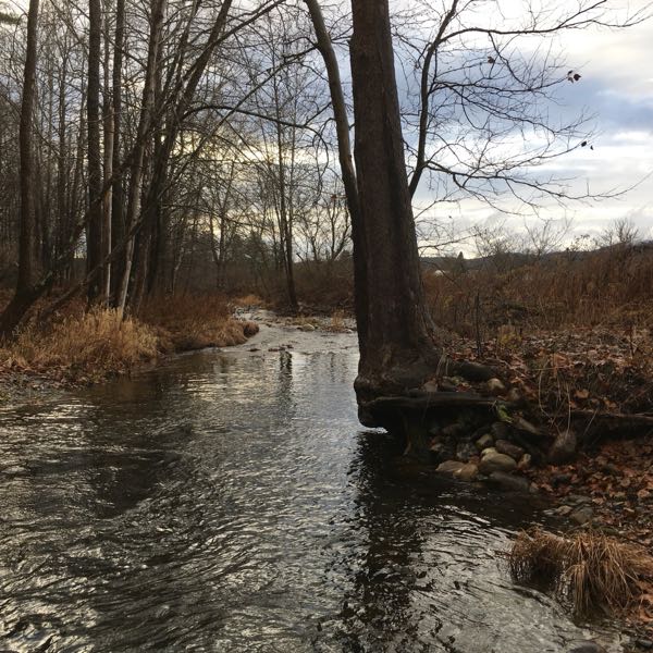 Swimming Hole — Autumn