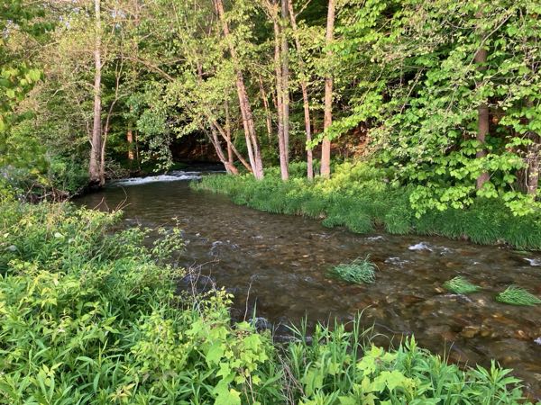 Swimming Hole