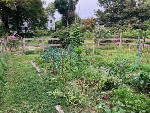 Vegetable Gardens